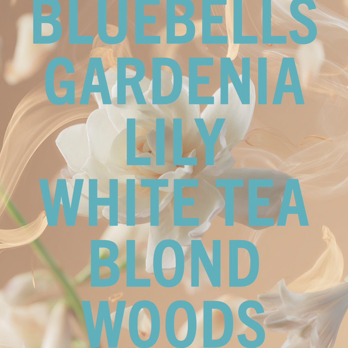 Shay & Blue Tallulahs Camellia Fragrance 100ml