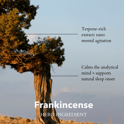 Anatomē - The Little Gift of Good Sleep - Frankincense