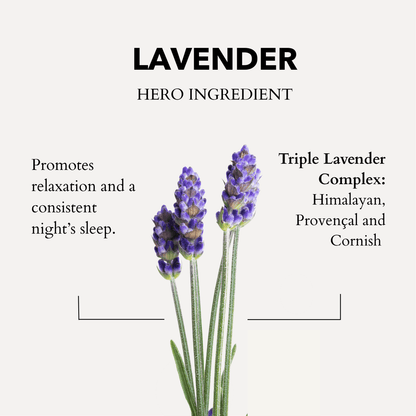 Anatomē - The Little Gift of Good Sleep - Lavender