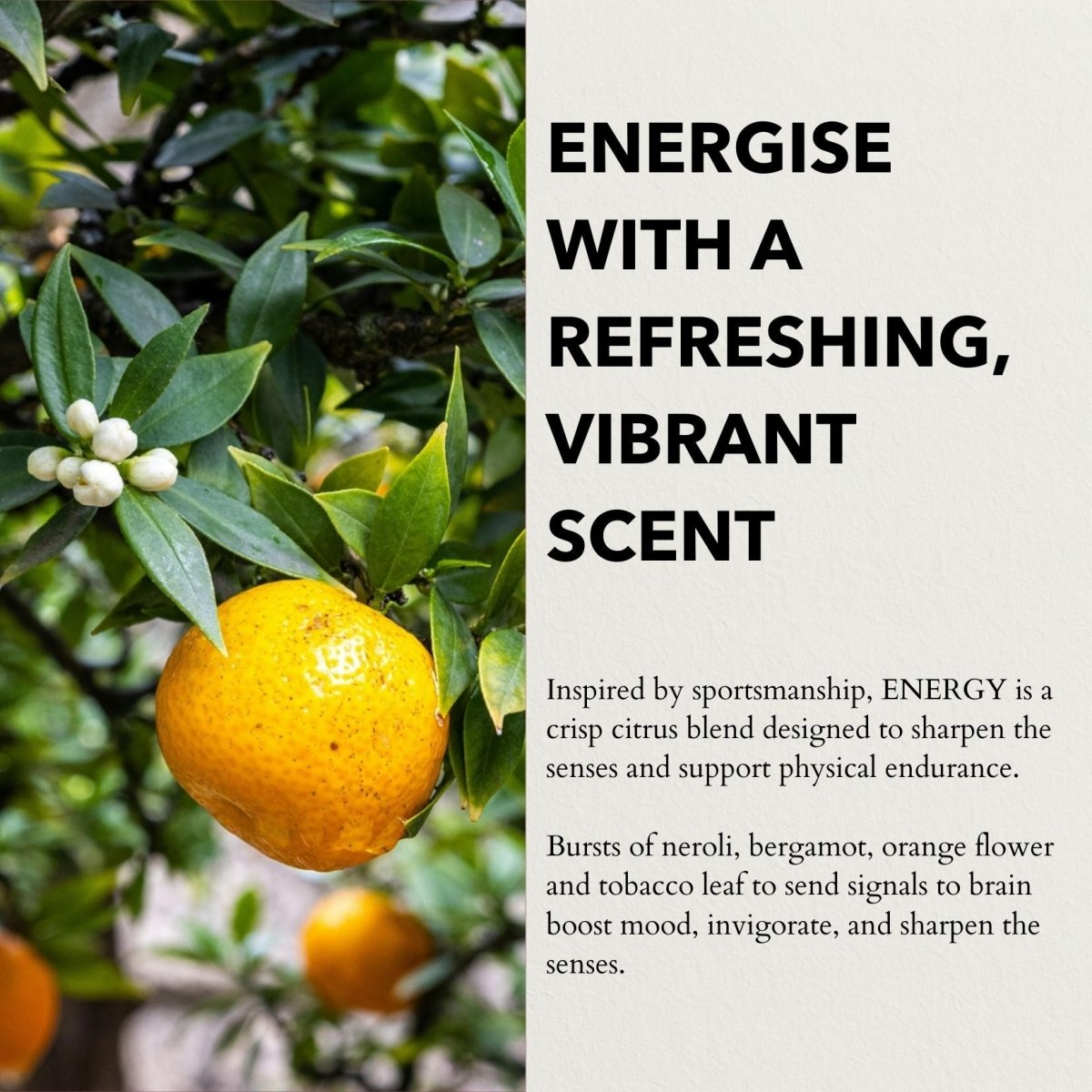 Anatomē - Energy Functional Parfum 10ml