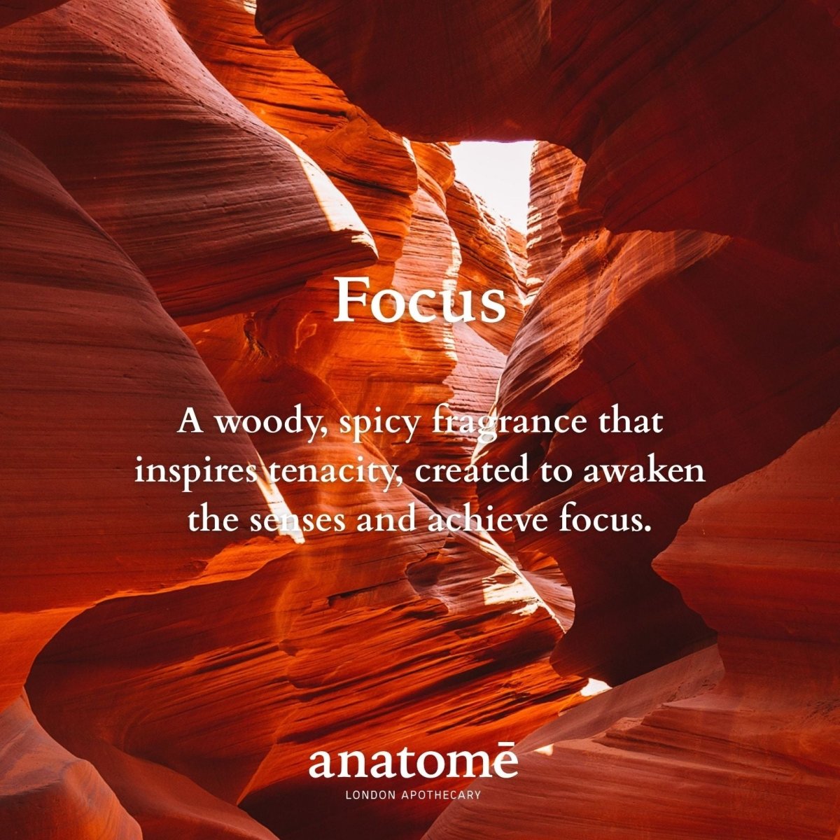 Anatomē - Focus Functional Parfum Travel 10ml
