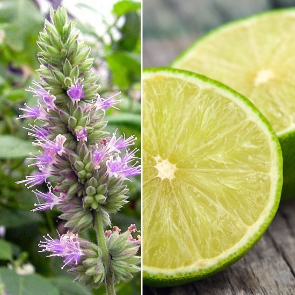 The Good Soap - Natural Deodorant Bar with Patchouli and Lime