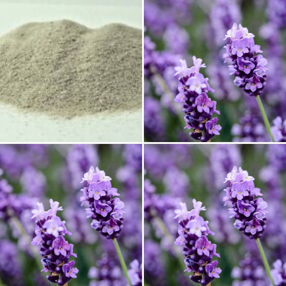 The Good Soap - Lavender Exfoliating Pumice Soap