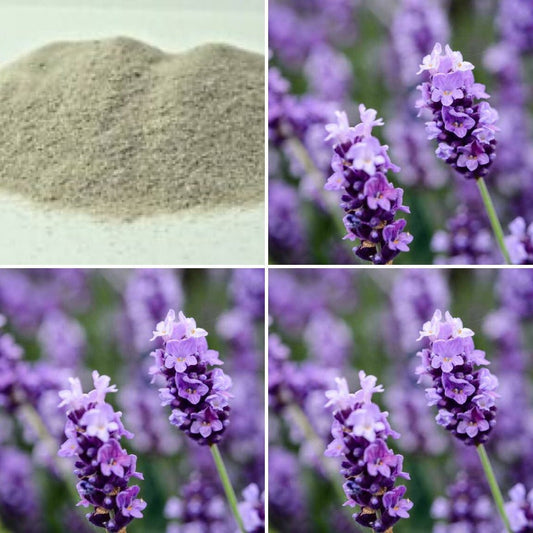 The Good Soap - Lavender Exfoliating Pumice Soap