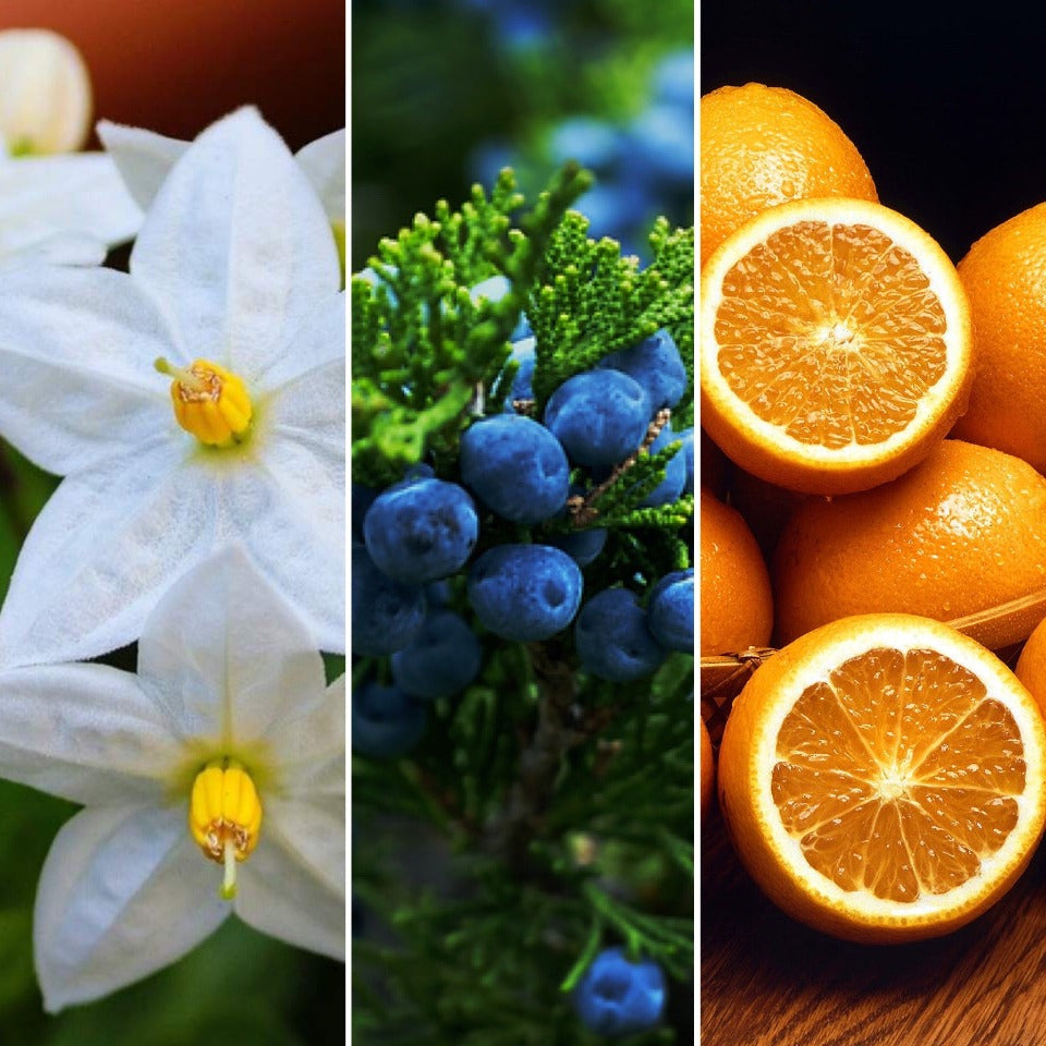The Good Soap - Jasmine, Juniper and Orange Bar - Uplifting Soap and Solid Shampoo
