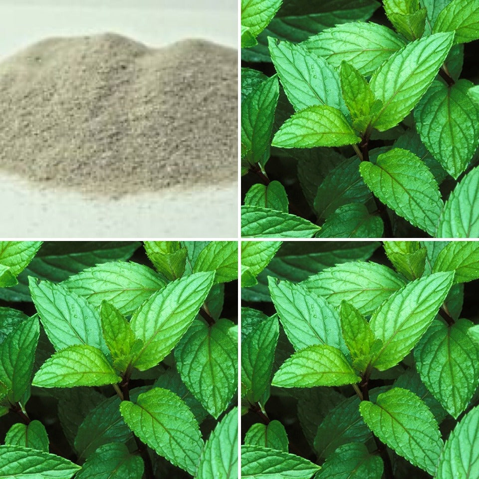 The Good Soap - Peppermint Exfoliating Pumice Soap