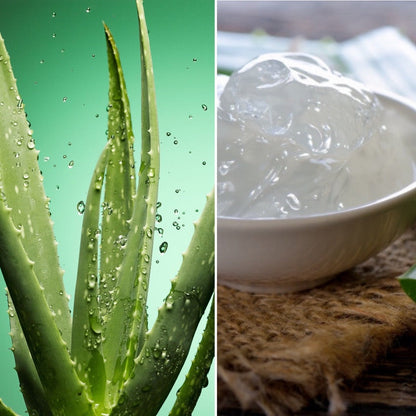 The Good Soap - Aloe Vera Bar - Gentle Soap and Solid Shampoo for Sensitive Skin