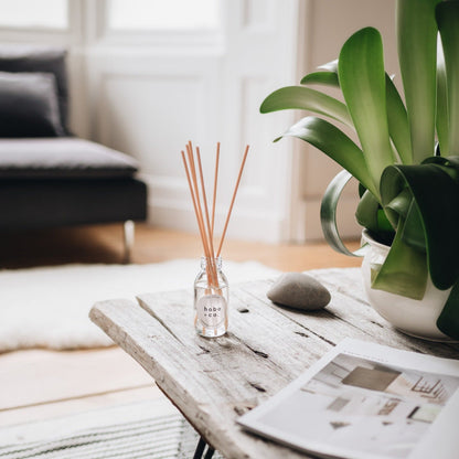 Hobo+Co - Lemongrass and Coconut Reed Diffuser