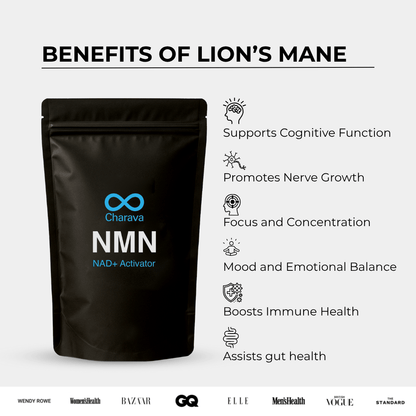 Charava UK - Lion's Mane Powder - 60 Grams - 30 Servings