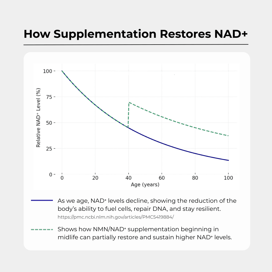 Charava UK - NAD+ 500mg