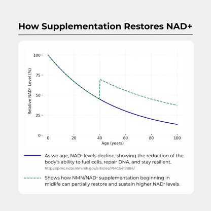 Charava UK - NAD+ 500mg