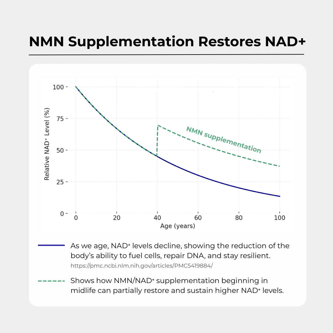 Charava UK - NMN+1200 (NMN, Resveratrol, Pterostilbene)