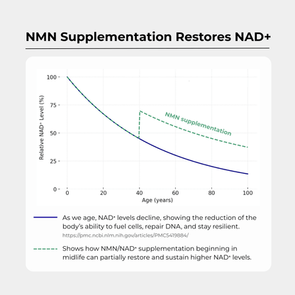 Charava UK - NMN+1200 (NMN, Resveratrol, Pterostilbene)