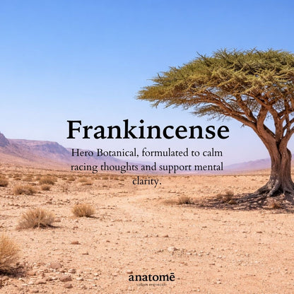 Anatomē - Sleep Oil for Overactive Mind – Somali Frankincense  | 30ml