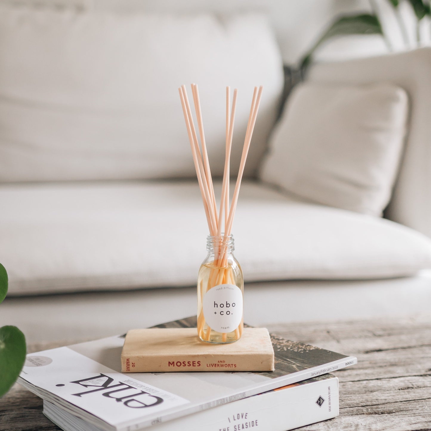 Hobo+Co - Fig and Cassis Reed Diffuser