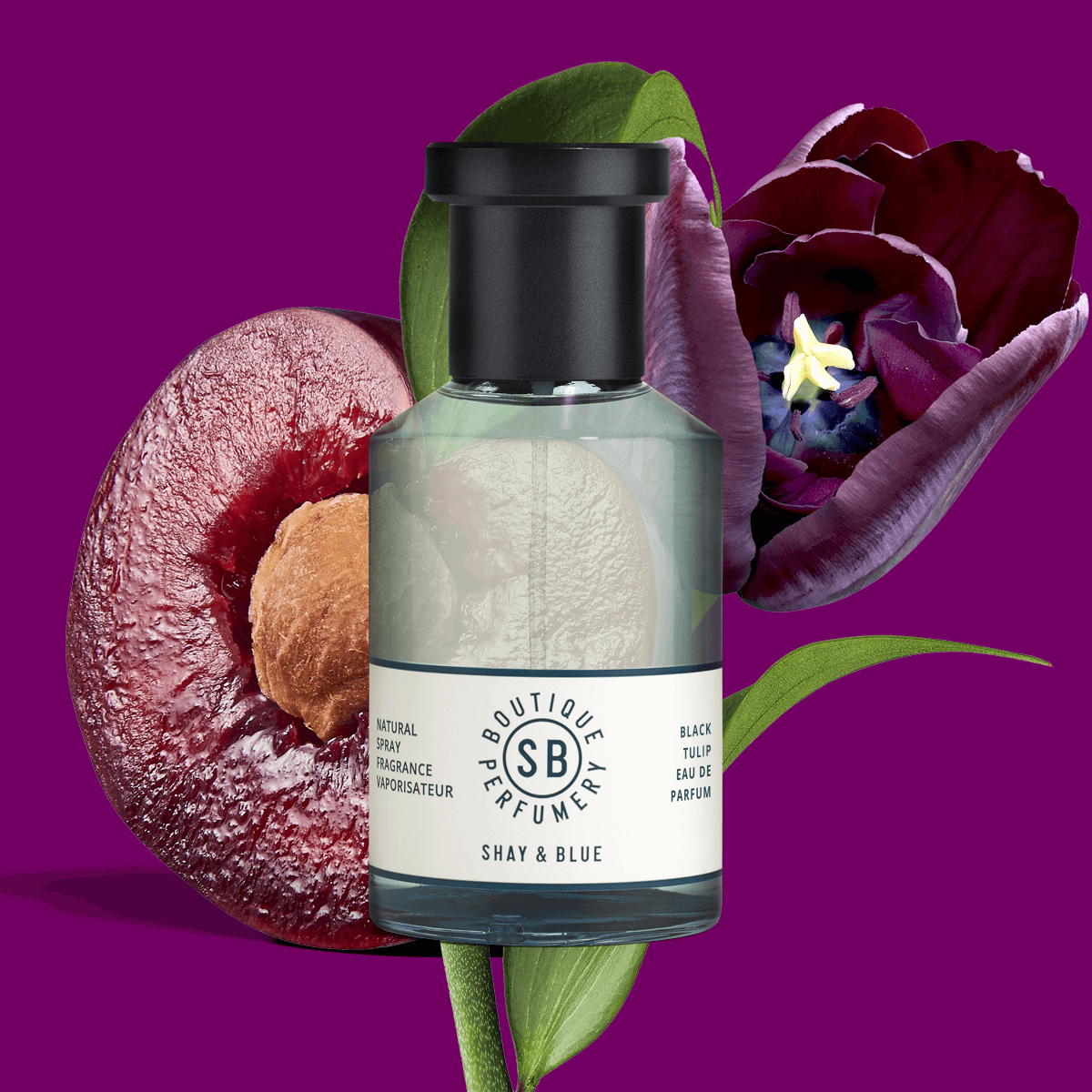 Shay & Blue Black Tulip Fragrance 100ml