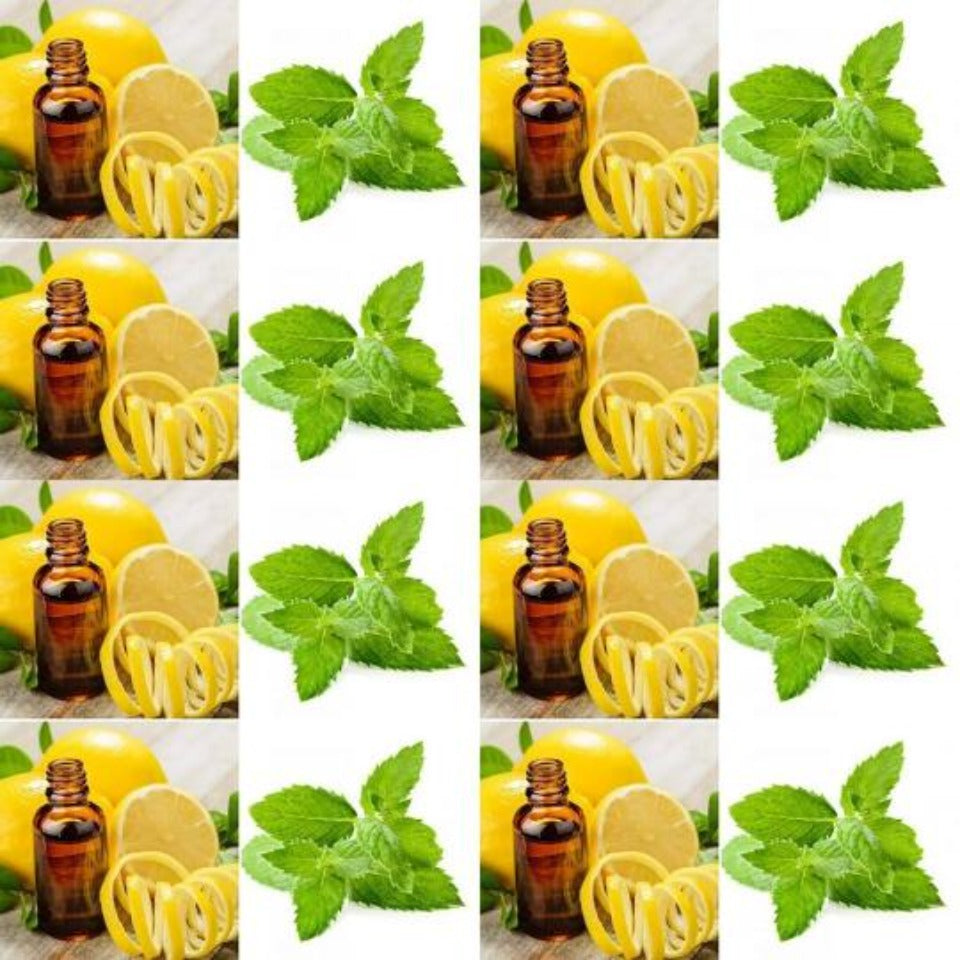 The Good Soap - Natural Deodorant Bar with Spearmint and Lemon