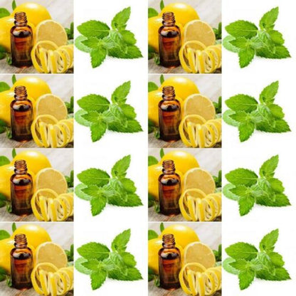 The Good Soap - Natural Deodorant Bar with Spearmint and Lemon