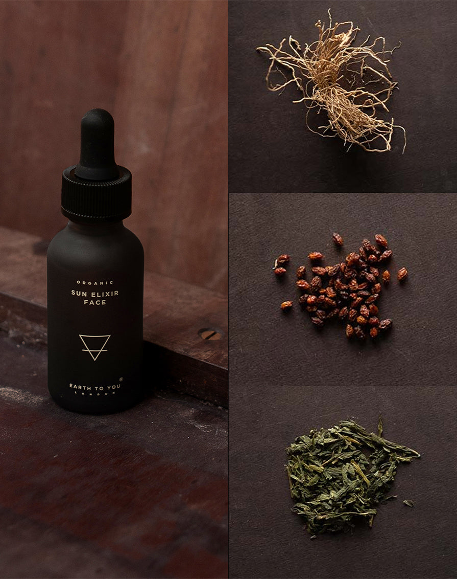 Earth to You - Sun Elixir - Face