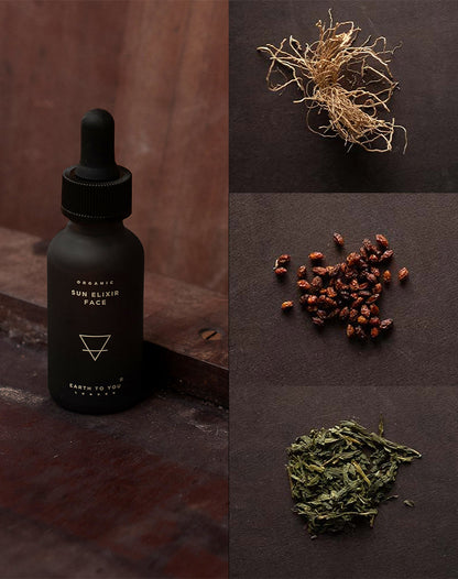 Earth to You - Sun Elixir - Face