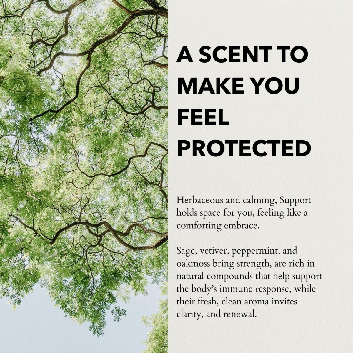 Anatomē - Support Functional Parfum