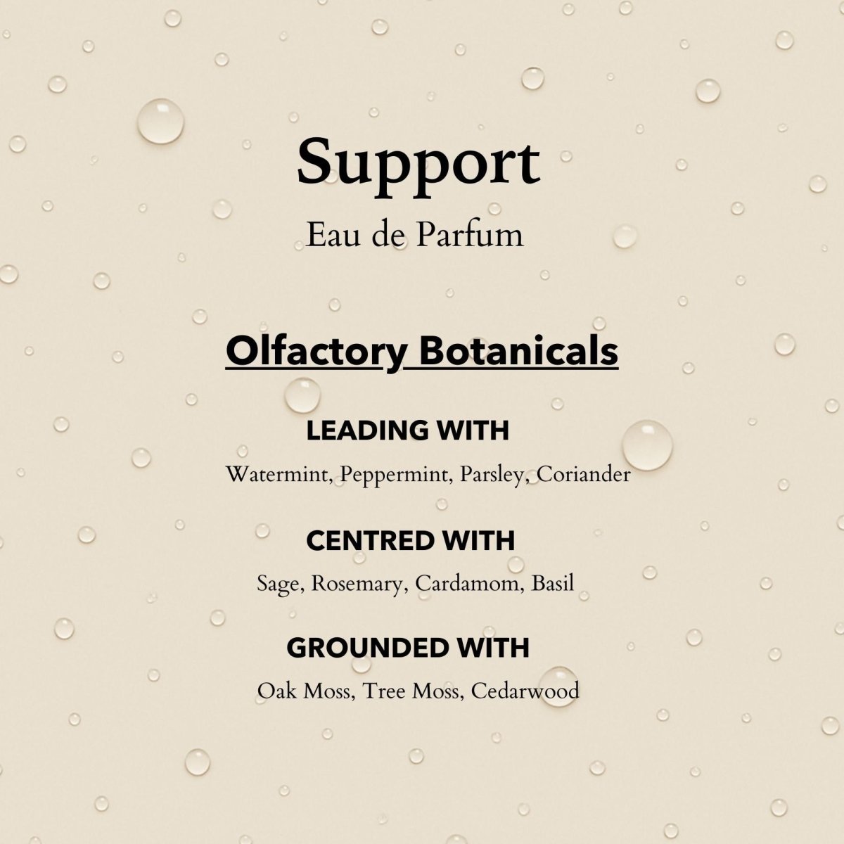 Anatomē - Support Functional Parfum  10ml