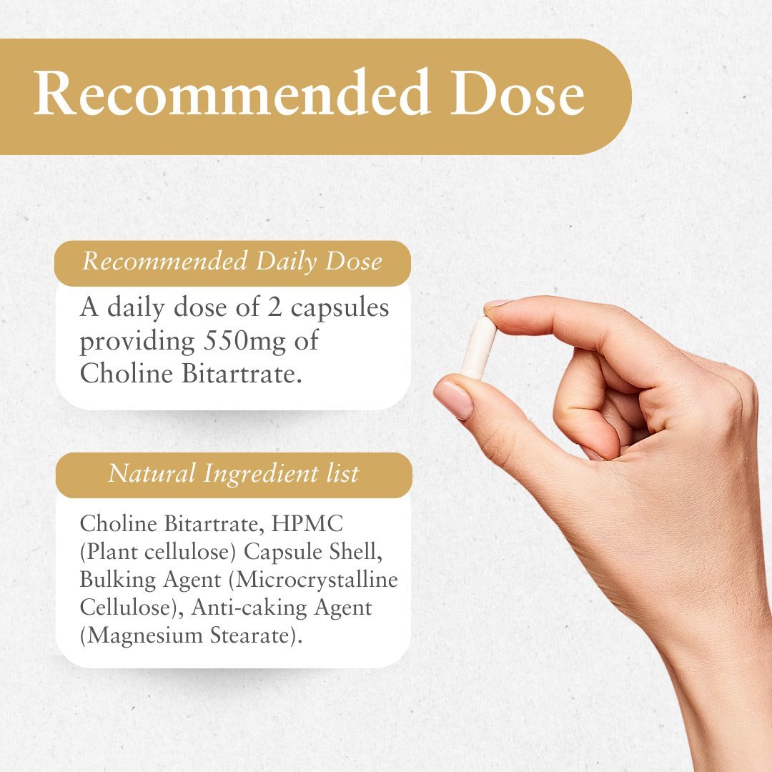 Purer The Choline Capsule