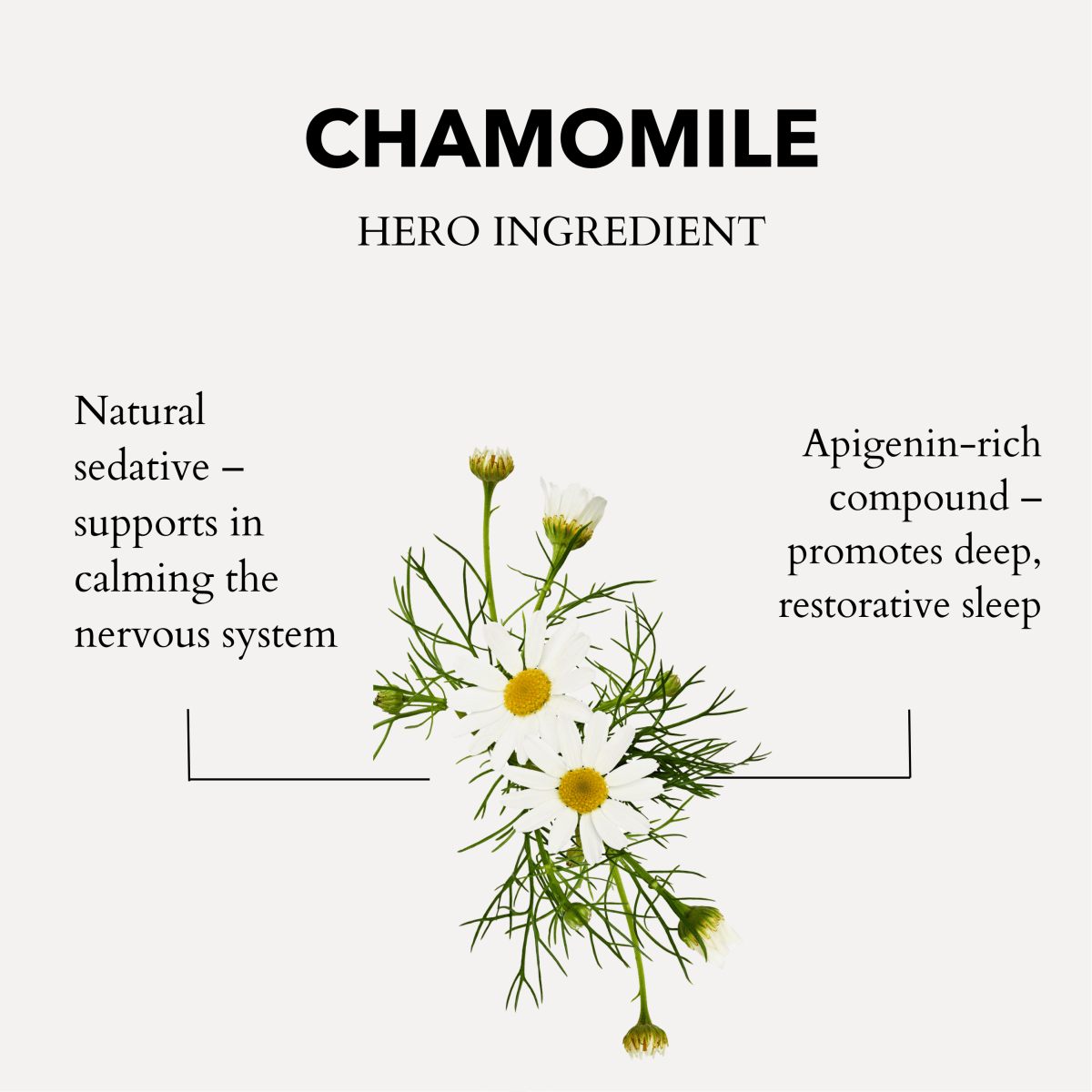 Anatomē - Calming Bath & Shower Oil with Roman Chamomile – Sleep & Stress Relief